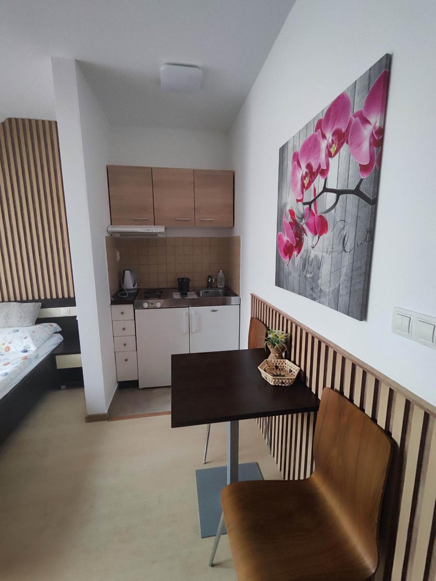 Apartman Pohoda เบเชนยอวา ภายนอก รูปภาพ